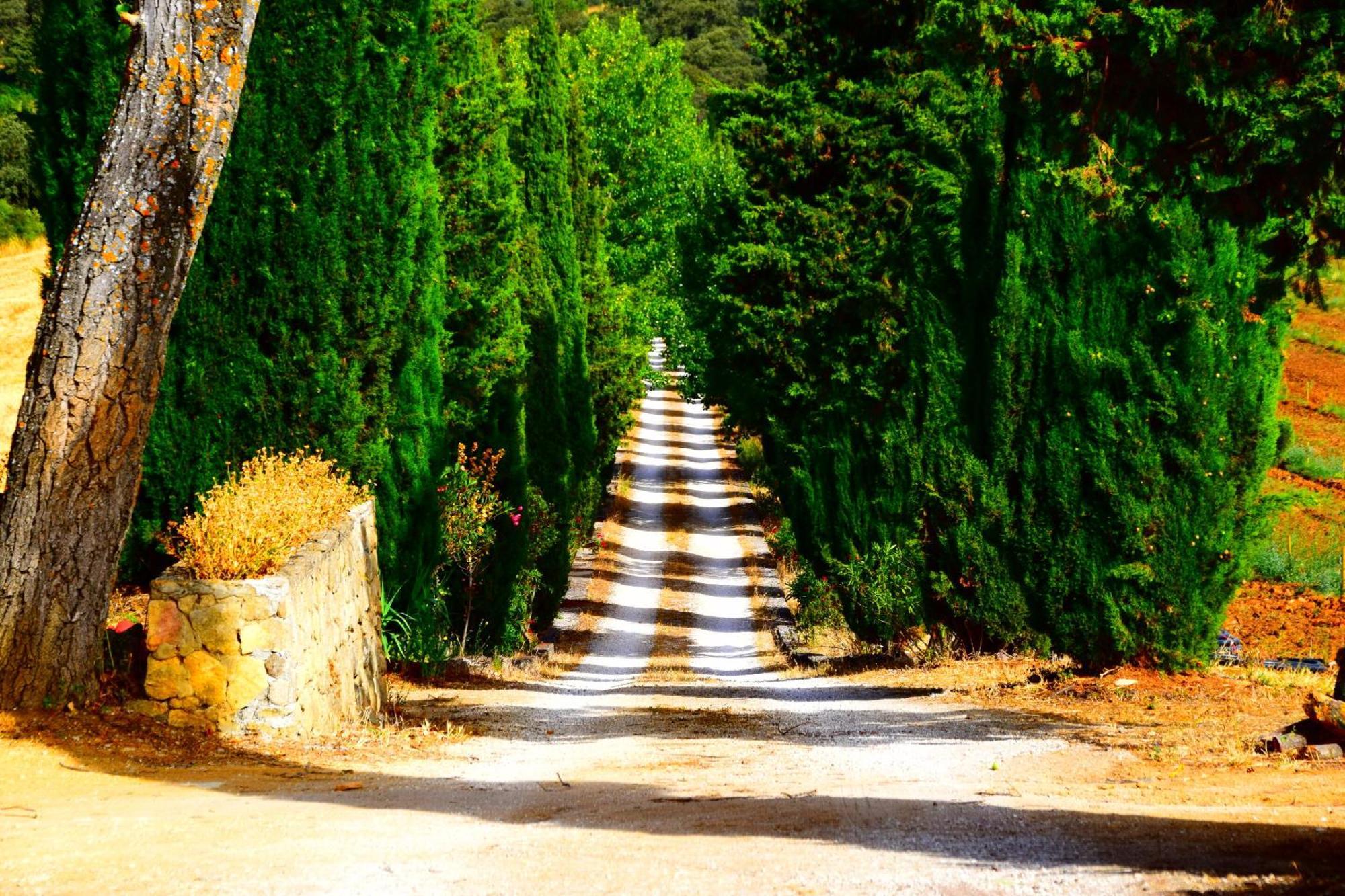 Villa Casa Alta Ronda Exteriér fotografie